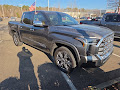 2025 Toyota Tundra 1794